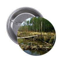 Barrage de castor pin's avec agrafe