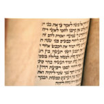 Barre Mitzvah/invitation de bat mitzvah