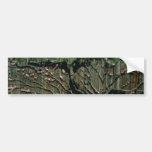 Barrière fleurissante rose, jardins botaniques f d autocollant pour voiture