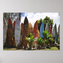 Barrière Maui, HI de planche de surf Poster