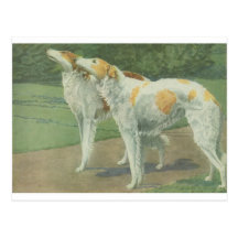 Barzoï (chien-loup russe) cartes postales