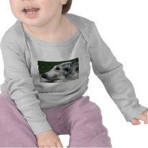 Barzoï, chien-loup russe t-shirt