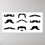 Basculez l'affiche de Stache