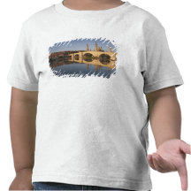 Basilica de Nuestra Senora De Pilar 2 T-shirt