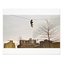 Baskets de Brooklyn sur un fil Photo Sur Toile