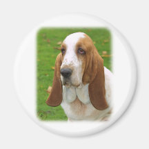 Basset Hound 8K92D-07_2 Magnets Pour Réfrigérateur