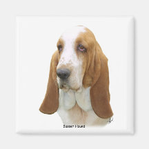 Basset Hound 8K92D-07 Aimants Pour Réfrigérateur