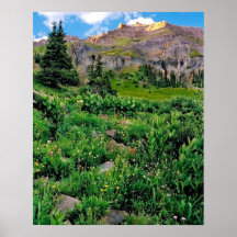 Bassin de garçon de Yankee sur la toile Posters