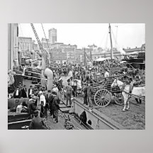 Bateaux de banane de Baltimore Posters