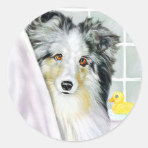 Bath bleu de Merle Sheltie Adhésif Rond
