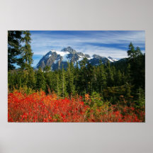 Bâti Shuksan Affiches
