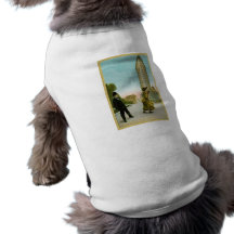 Bâtiment plat de fer, carte vintage d'humour de Ne Tee-shirts Pour Toutous