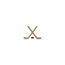 Bâtons de hockey