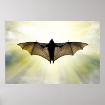 batte affiches