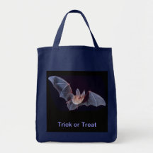Batte Sacs De Toile