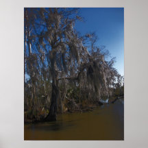 Bayou de la Nouvelle-Orléans Affiches