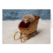 BB238777, MerryChristmas ! cartes