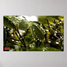 ~BEADS d'affiche de TRANQUILITY~