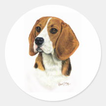 Beagle Adhésifs