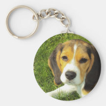 Beagle Keychain Porte-clé