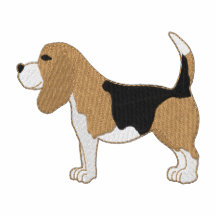 Beagle