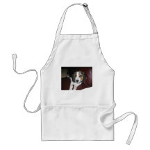 Beagle un dimanche tabliers