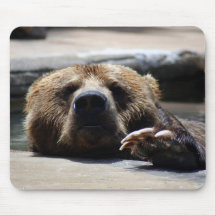 bear8x10 brun tapis de souris
