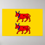 Bearn, drapeau de la France Posters