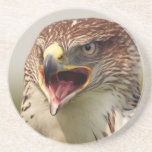 Beau caboteur de faucon de Lanner Dessous De Verre