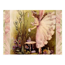 Beau Carte Postale