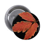Beau feuille de lierre de poison pin's