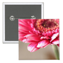 Beau gerbera rose sur le beige badge