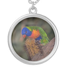 Beau lorikeet colliers personnalisés
