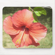 Beau mousepad de ketmie tapis de souris