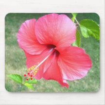 Beau mousepad de la ketmie 2 tapis de souris