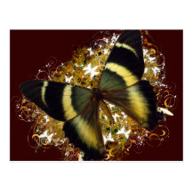Beau papillon carte postale