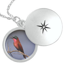 Beau pendentif de collier d'oiseaux