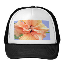 Beau Plumeria rose et jaune Casquette De Camionneur