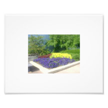 Beau pourpre  tirage photo