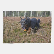 beauceron de serviette de cuisine serviettes pour les mains