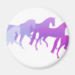 Beaucoup de chevaux (pourpres) magnets