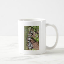 Beaucoup de tortues tasse à café