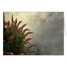 Beauté dans la tempête cartes de vœux