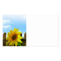 Beauté de nature de tournesol cartes de visite personnelles