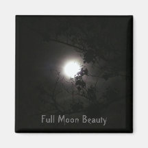 Beauté de pleine lune aimant pour réfrigérateur
