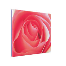 Beauté de Rose Impressions Sur Toile