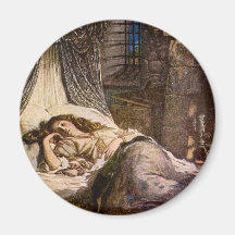 Beauté de sommeil aimants