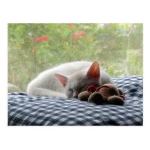 Beauté de sommeil carte postale