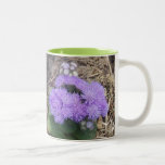 beauté de tasse de nature tasses