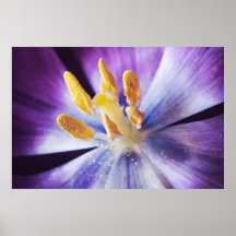 Beauté intérieure posters